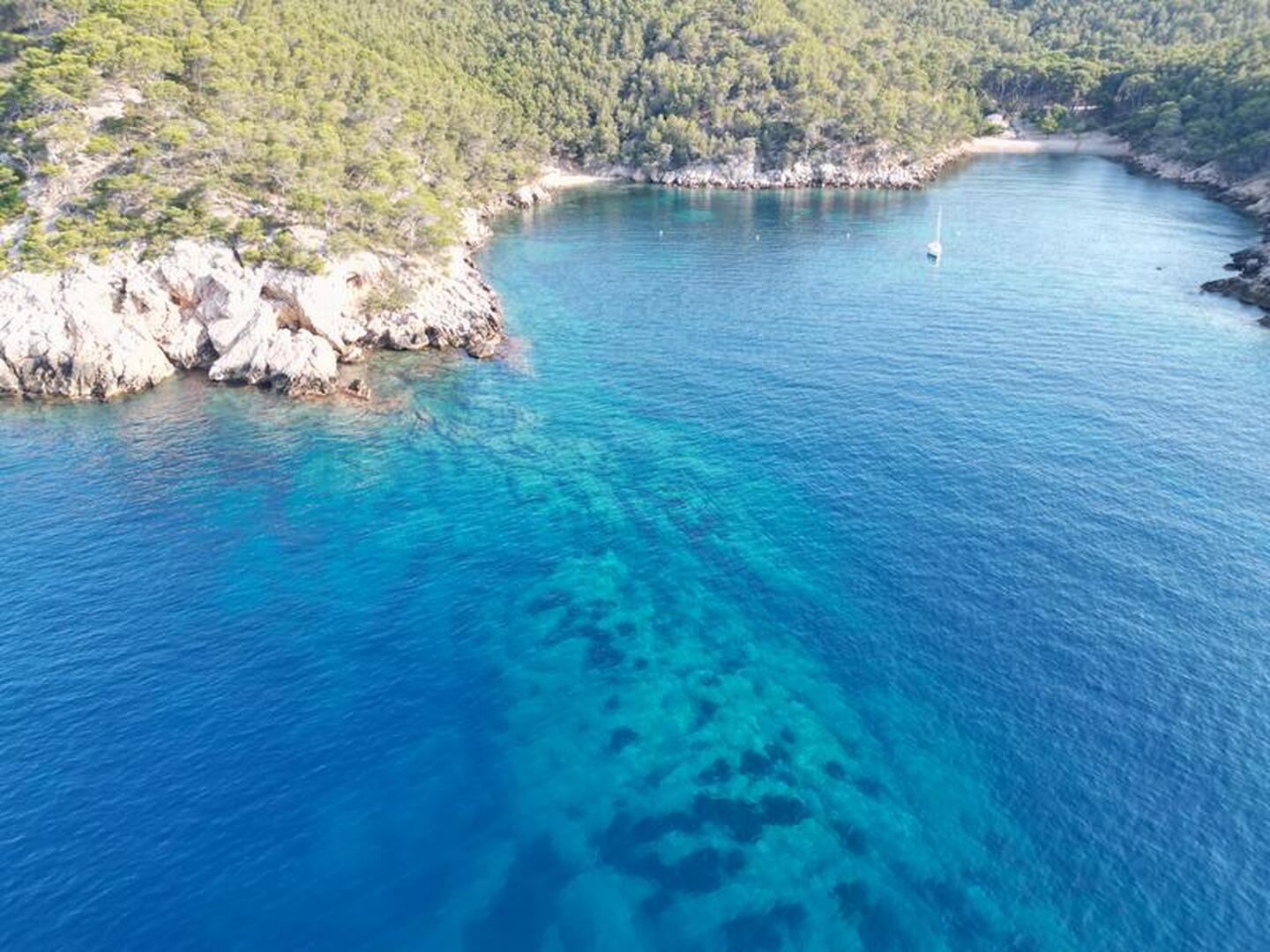 Horizon littoral : Calanques du Var_Saint-Cyr-sur-Mer